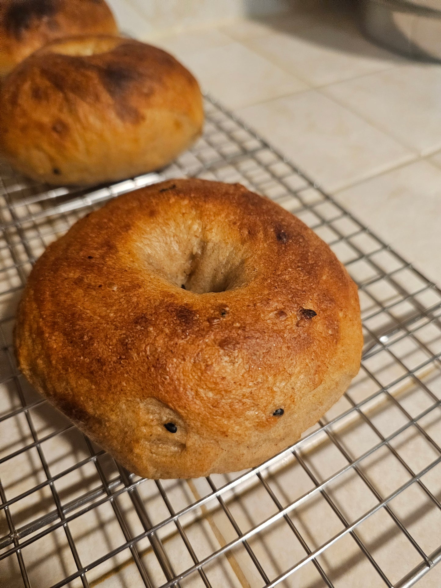 Sourdough Bagels - Half Dozen