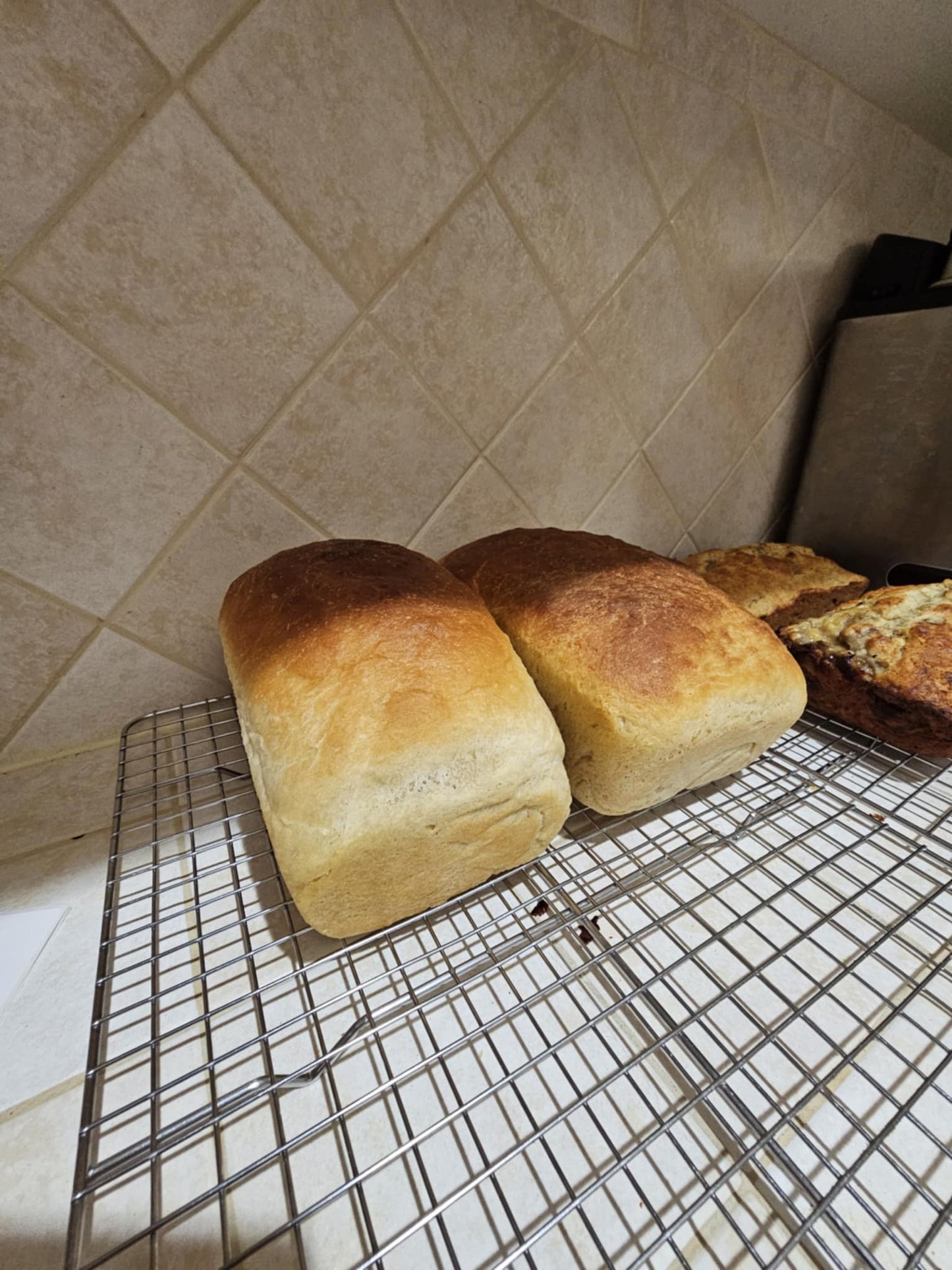 Sandwich Loaf