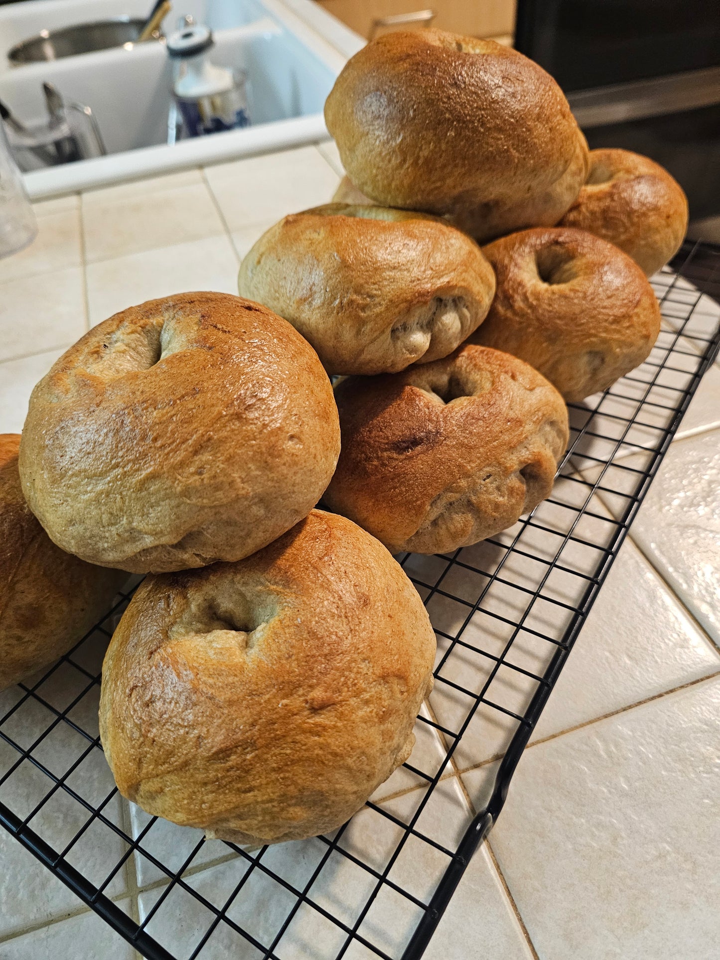 Sourdough Bagels - Half Dozen