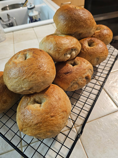Sourdough Bagels - Half Dozen
