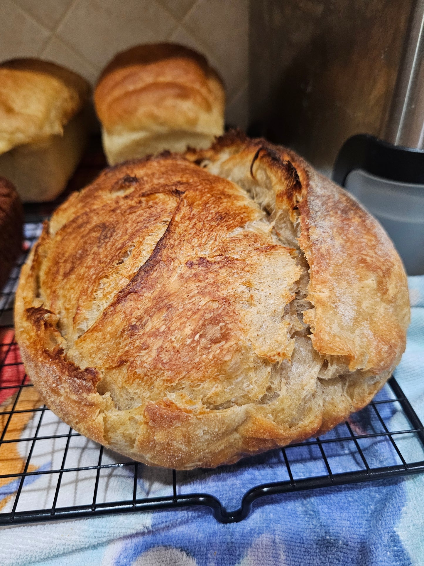 Croissant Sourdough