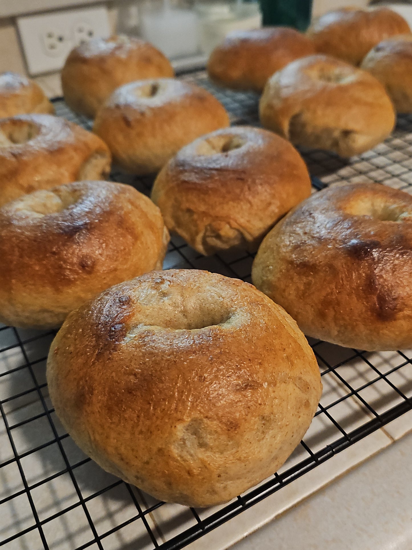 Sourdough Bagels - Half Dozen
