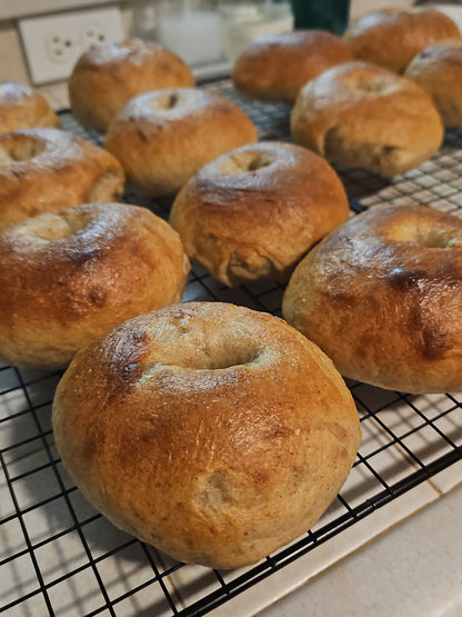 Sourdough Bagels - Half Dozen