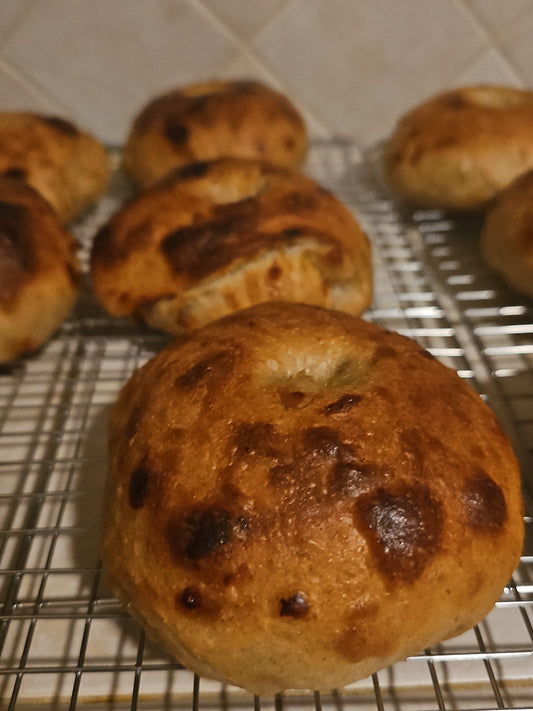 Sourdough Bagels - Half Dozen